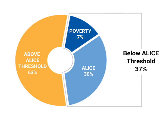 2024 ALICE STAT