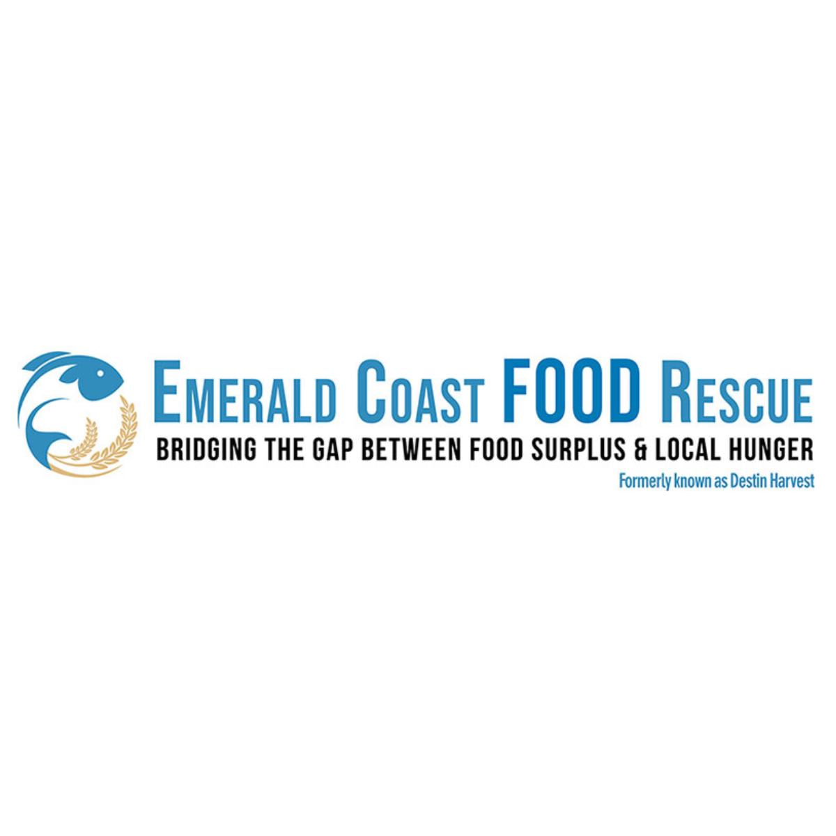 ECFR Logo